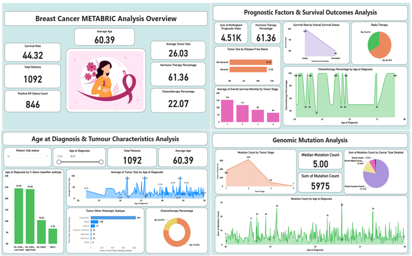 Dashboard Screenshot
